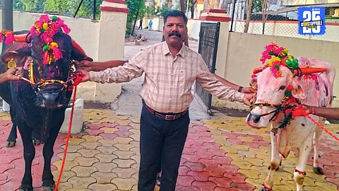Beed News