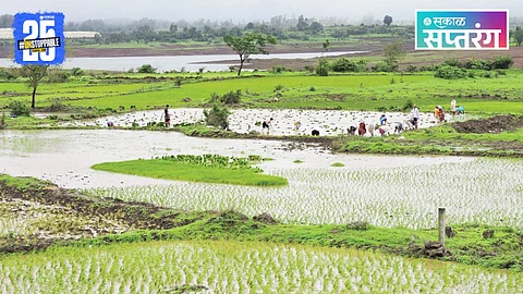 Maval Monsoon