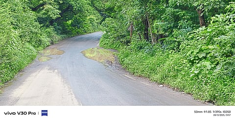 पालघर पूर्वे कडील रस्त्यांची खड्ड्यामुळे दुरावस्था