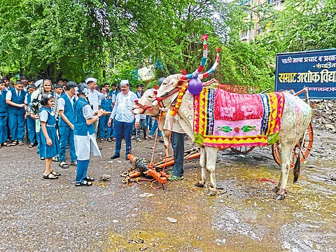 विद्यार्थ्यांनी अनुभवला बैलपोळ्याचा उत्सव