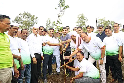 सुंदर जीवनासाठी वृक्षांशी मैत्री करा