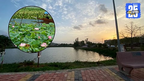Badlapur Lotus Lake