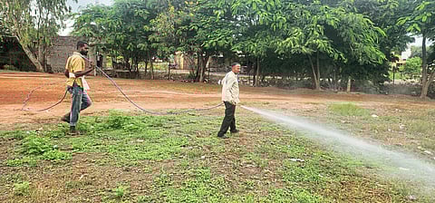 वरकुटे बुद्रुक ग्रामपंचायतीकडून कीटकनाशक फवारणी