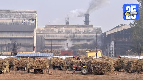Sugar Factory Loan Policy
