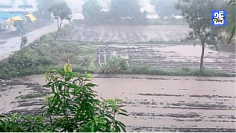 Marathwada Monsoon Update