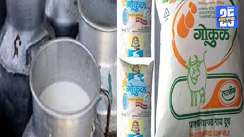 Gokul Milk: 'गोकुळ'कडून दूध उत्पादकांना खास भेट, खरेदी दराचे भाव वाढले; ग्राहकांवर काय परिणाम होणार?