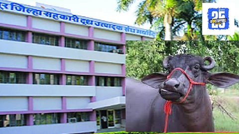 Gokul Dudh Sangh