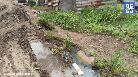 Drainage Issue