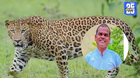 Leopard Attack