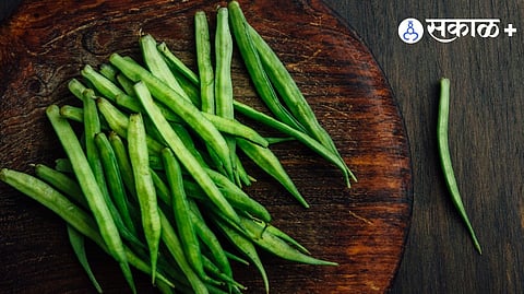 Guar gum uses
