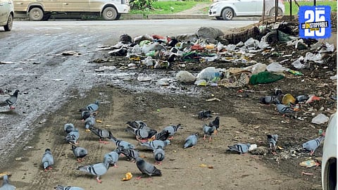 Pune Civic Issues