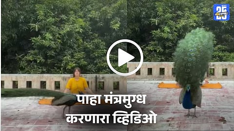 Viral Video: