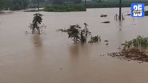 Solapur heavy rain: सोलापुरातील पावसामुळे देगाव ओढ्याला पूर; शेतीचं मोठं नुकसान, पाच तासांत होत्याचं नव्हतं झालं