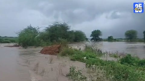 Omerga News