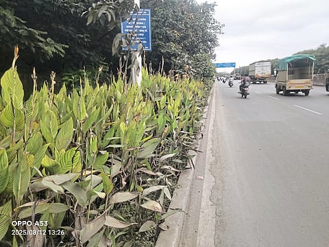संवाद माझा