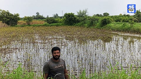 Unseasonal rains lash North Solapur; surviving crops destroyed, farmers in tears.