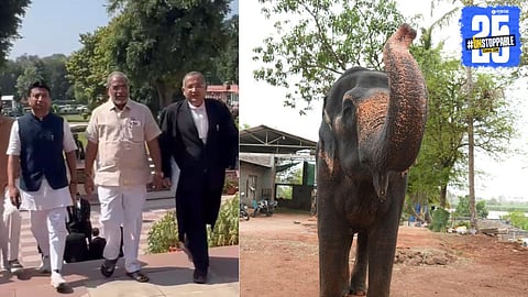 Madhuri Elephant Verdict