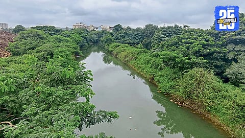 Mutha Canal