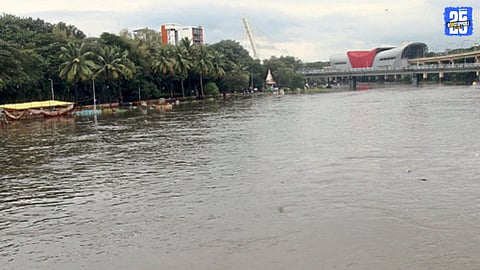 Heavy Rains