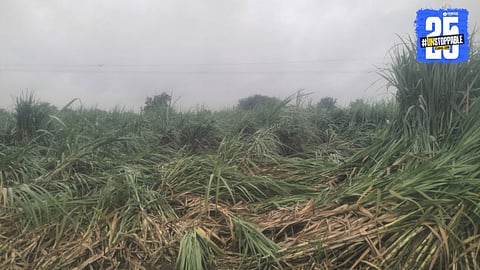 Dhanora Floods