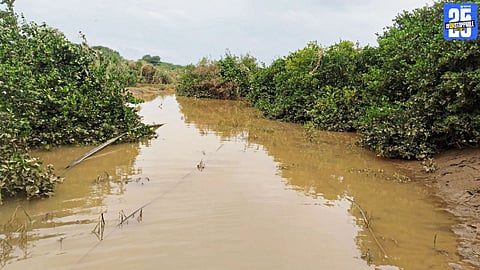 Sina river floods destroy crops and solar pumps; farmers in Mohol taluka suffer huge losses.