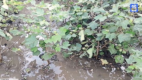 Beed Floods