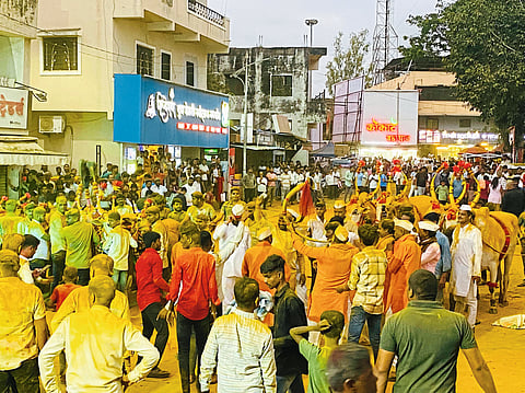 देहूत बैलपोळा जल्लोषात