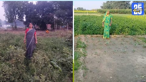Women Empowerment