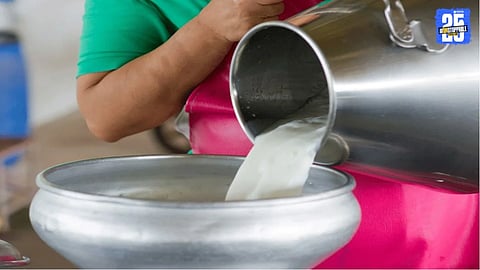Katraj Dairy