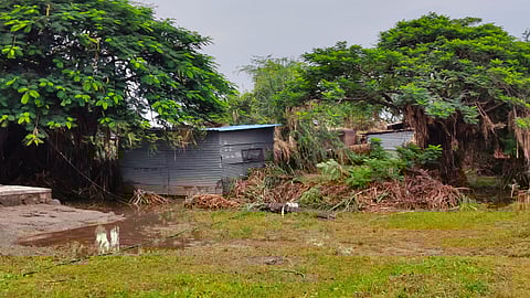 solapur flood