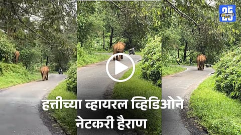 Viral Video
