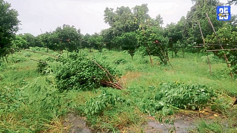Nagpur