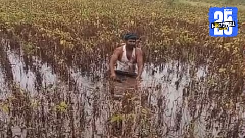 Agriculture News