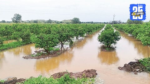 Rain Forecast