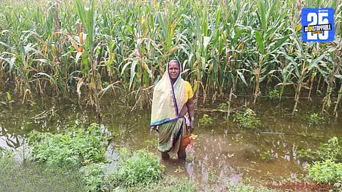 Agriculture News