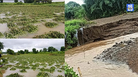 Crop Damage In Chh. Sambhajinagar
