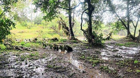 शेतकऱ्यांच्या डोळ्यात पाणी