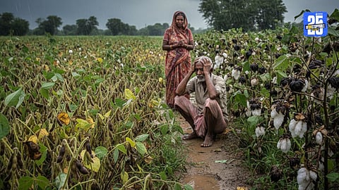 Wardha Farmer