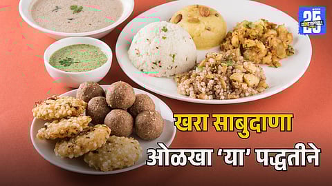 Navratri Fasting Tips: Stay Healthy & Identify Real Sabudana Easily