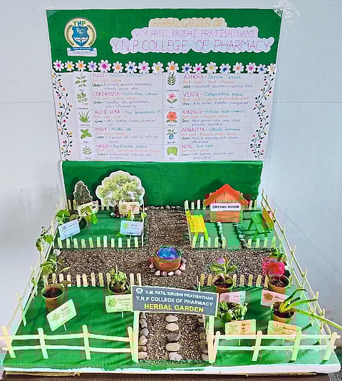 विद्यार्थ्यांनी साकारली "हर्बल गार्डन"ची प्रतिकृती