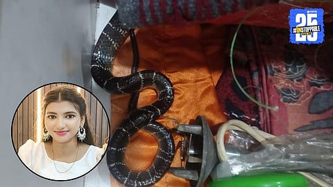Snakebite
