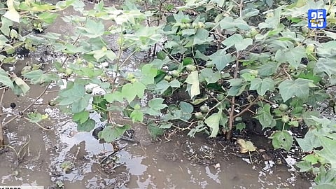 Beed Flood