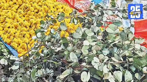 Dussehra