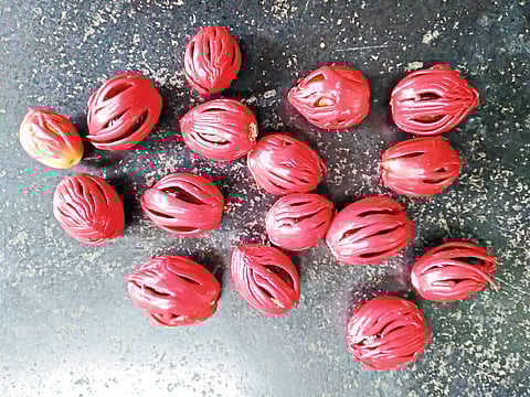 बदलत्या हवामानामुळे जायफळ पीक धोक्यात