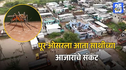 Solapur Dengue Outbreak