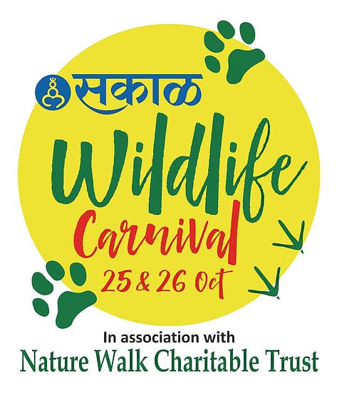 पुण्यात रंगणार ‘वाईल्डलाईफ कार्निव्हल’