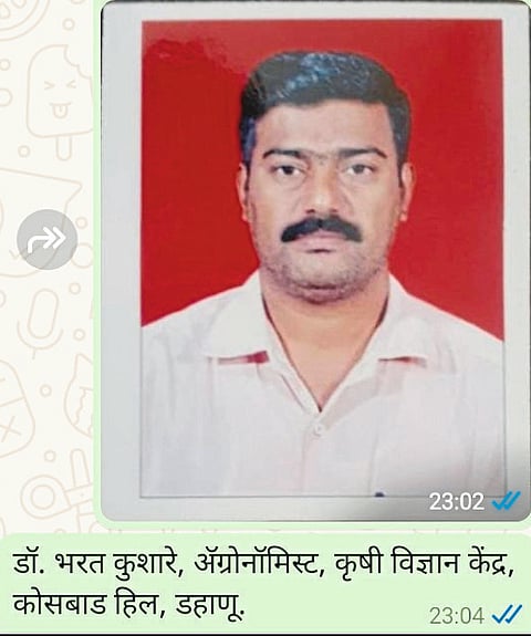 बळीराजाला भातकापणीचे वेध