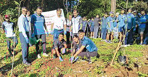 लोणावळ्यात देशी वृक्षांचे रोपण