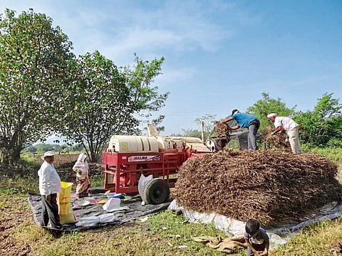 सोयाबीनच्या भाववाढीची शेतकऱ्यांना प्रतीक्षा