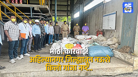 Police and Narcotics Task Force officials oversee the destruction of 900 kg ganja in Ahilyanagar under the Chief Minister’s anti-drug campaign.